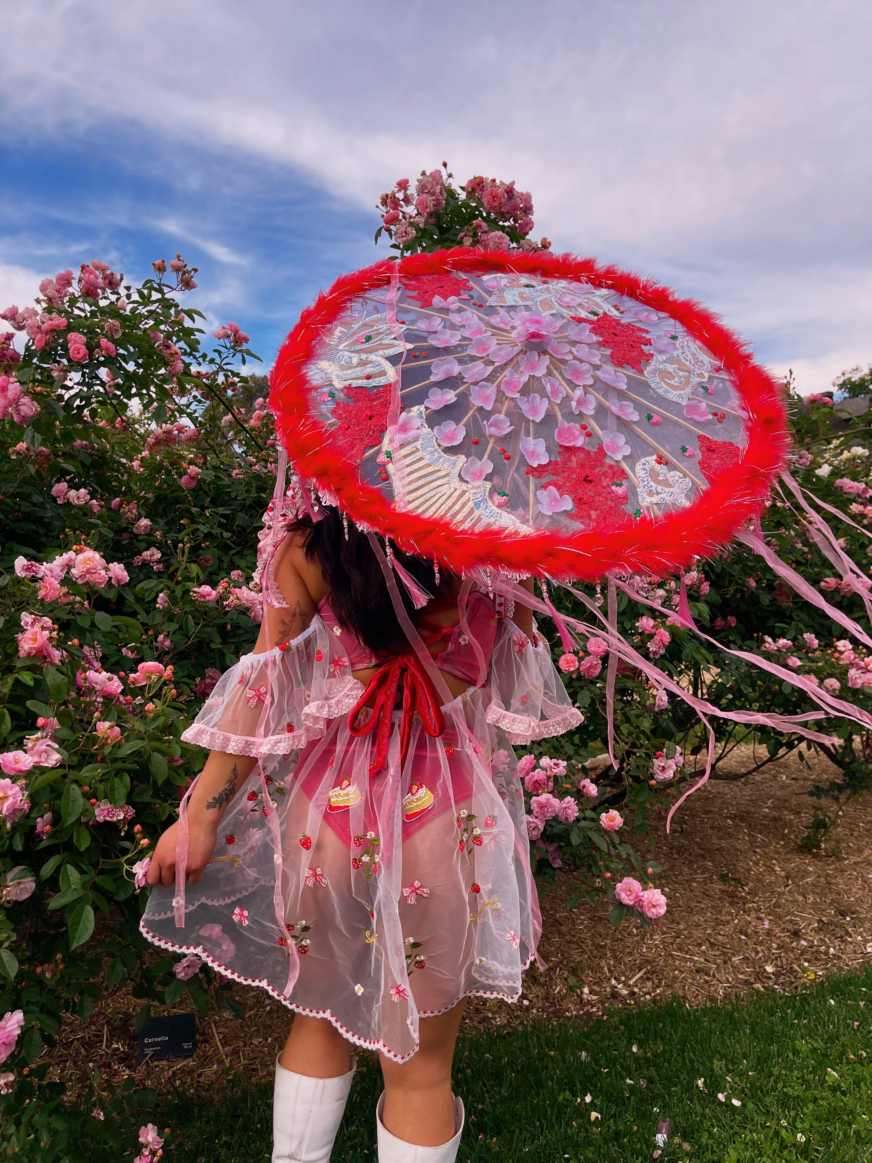 Strawberry Shortcake Parasol